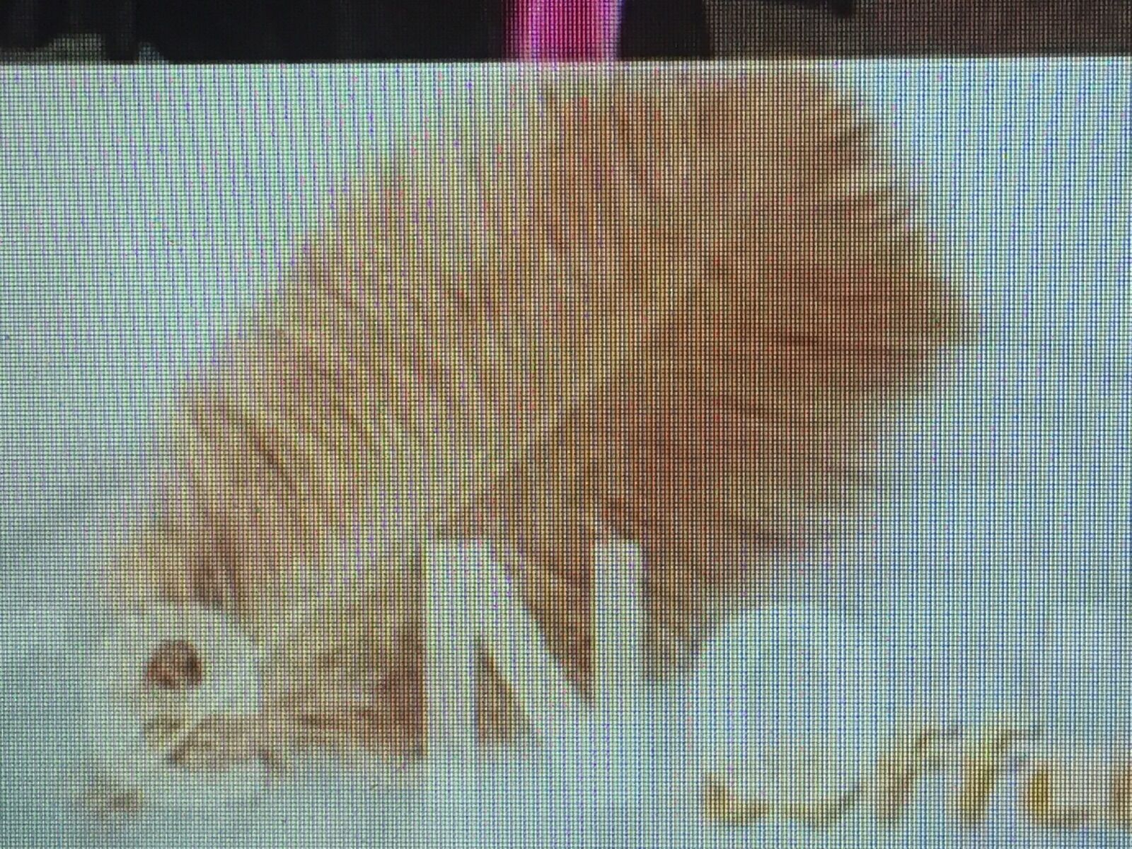 300pcs 12-14 inch ostrich feathers(color as the picture shown) 300pcs 12-14 inch ostrich feathers(color as the picture shown)