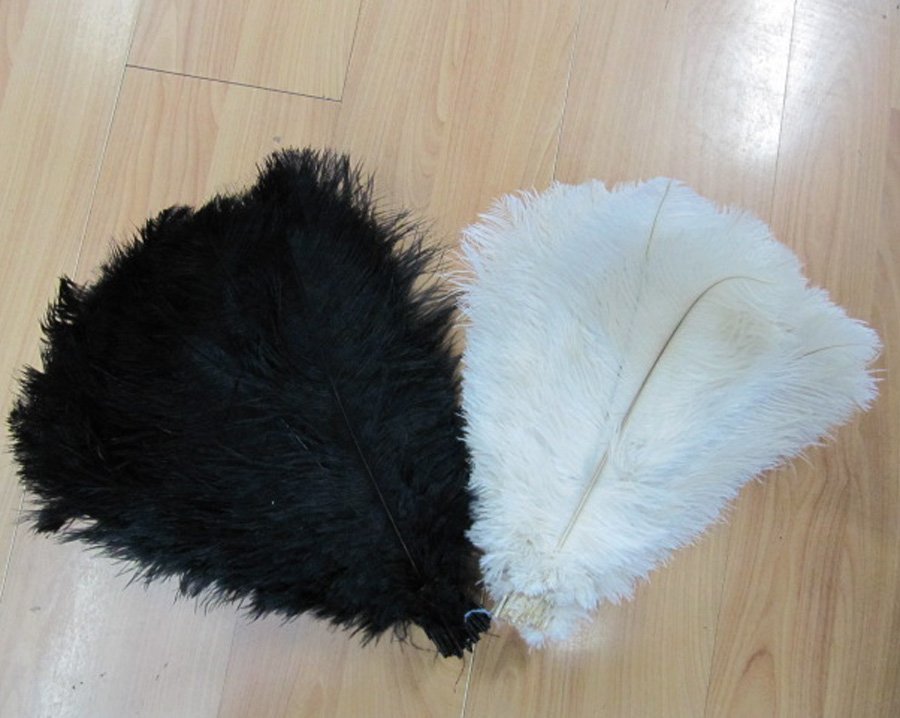 10-12inches ostrich feather