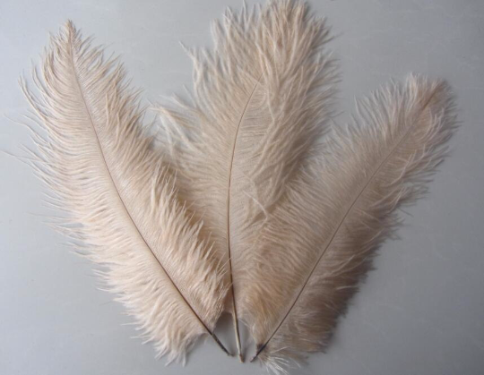 -800pcs 6-8inch, 100pcs 8-10inch ,Champagne/taupe ostrich feather