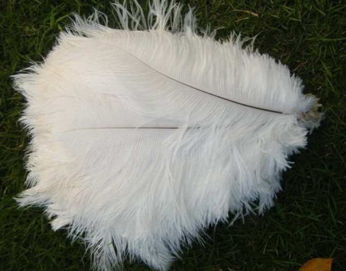 free shipping12-14inch ostrich feather,wedding centerpiece ostrich feather,decorative feather - Click Image to Close