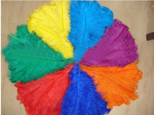 16-18inch ostrich feather