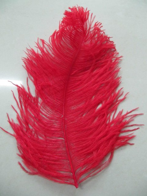 20-22inches ostrich feather
