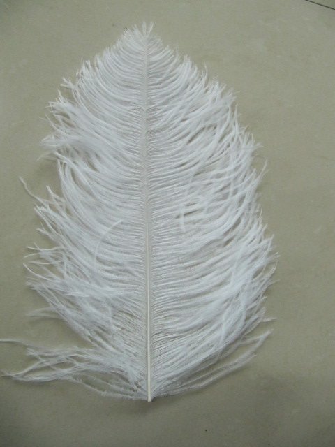 26-28inches ostrich feather