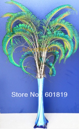 100pieces 20-25" CURLY PEACOCK SWORD FERN FEATHERS for wedding centerpiece,Hand Curled Peacock Feather Spray millinery decorate feather - Click Image to Close