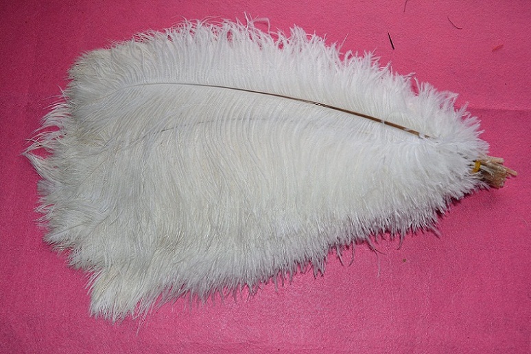 142 white and 142 black 16-18 inch ostrich feathers