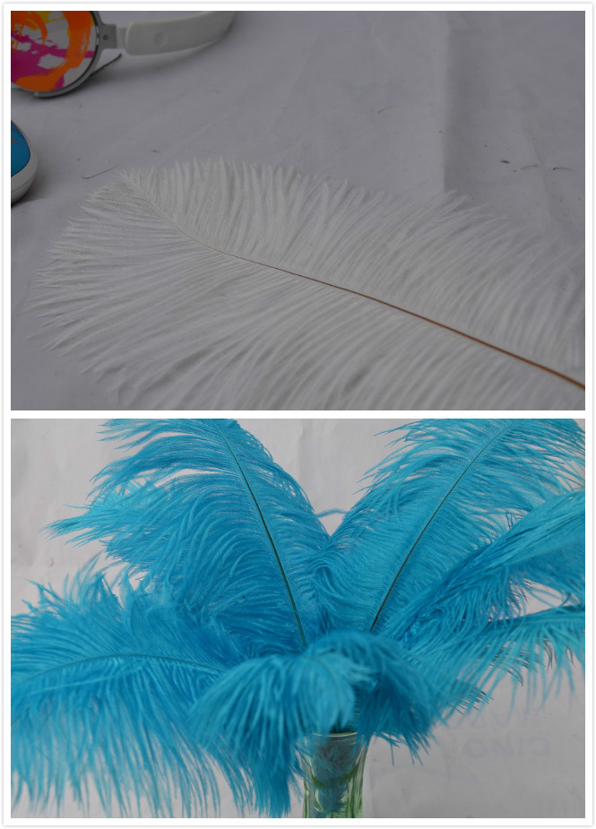 300 pcs 12-14 inch(150 white and 150 turquoise like in the picture) - Click Image to Close