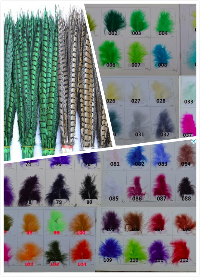 600pieces more than 50cm peacock feathers - Click Image to Close