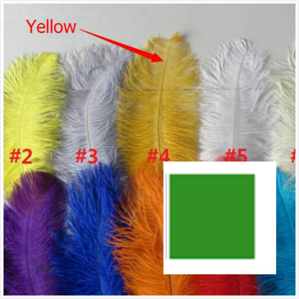 350feathers(100 yellow,100 green,150black) 22-24inch ostrich Plumes