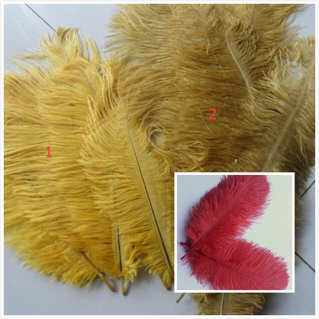 150 burgundy 110 dark gold and 65 light gold ,12-14inch ostrich feathers