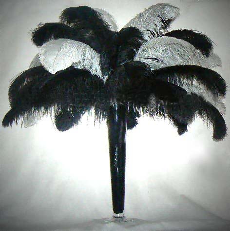 20 black plumes and 20 white plumes (14-16inch) - Click Image to Close