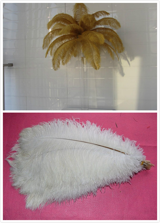 228 white and 228 gold(12-14inch) feathers - Click Image to Close
