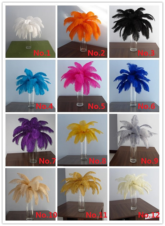 100feathers,12-14inch, ( 4 colors ,25 of each, No. 1, No. 3, No. 9, No. 11)you can get feathers by21th of March