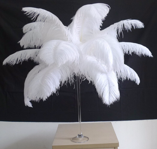 120 SNOW WHITE 12 inches ostrich feathers AND 100 SNOW WHITE 22-24inches ostrich feathers 120 SNOW WHITE 12 inches ostrich feathers AND 100 SNOW WHITE 22-24inches ostrich feathers