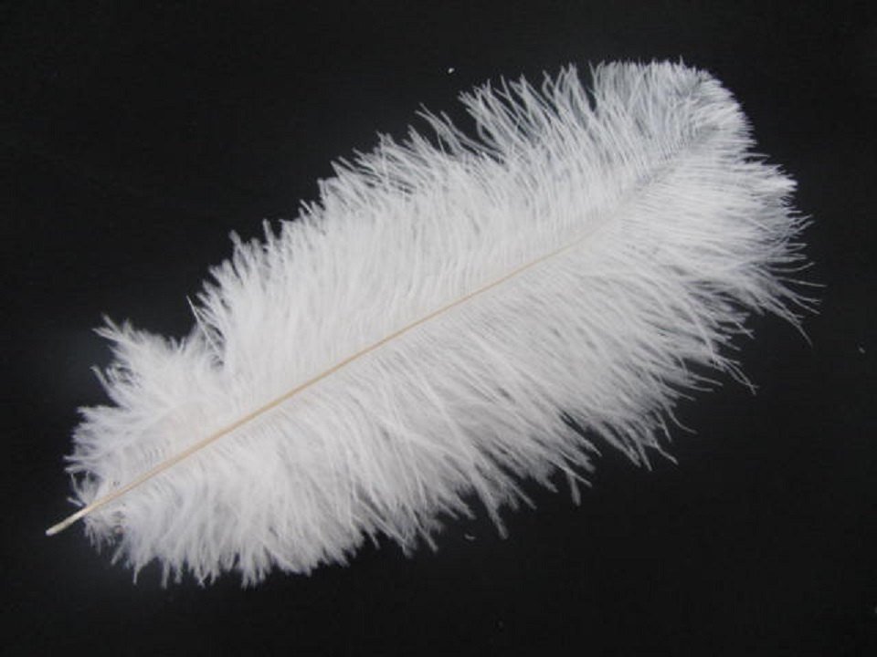 280pieces IVORY 16-18inch ostrich feathers