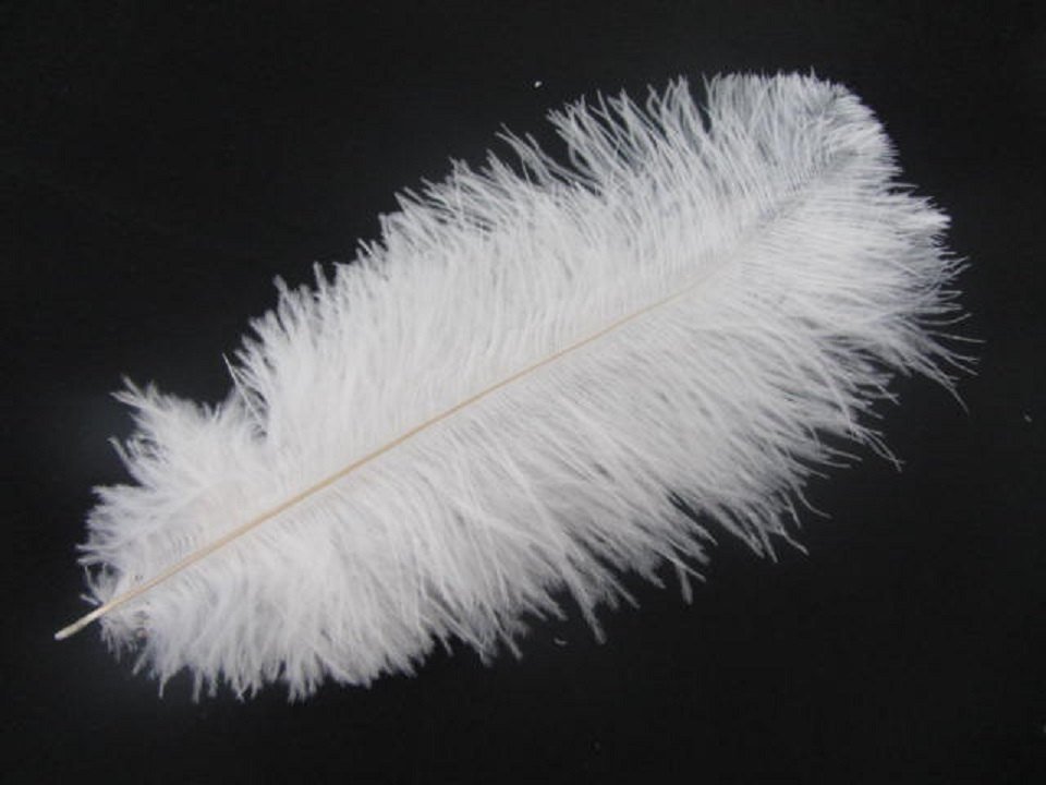 280pieces IVORY 16-18inch ostrich feathers 280pieces IVORY 16-18inch ostrich feathers
