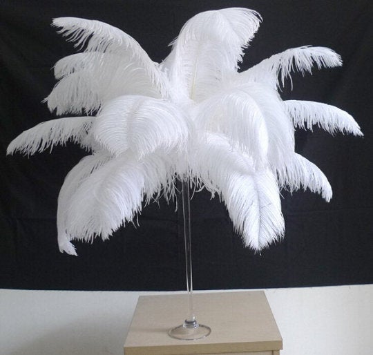 200pieces 18-20inch white ostrich feathers - Click Image to Close