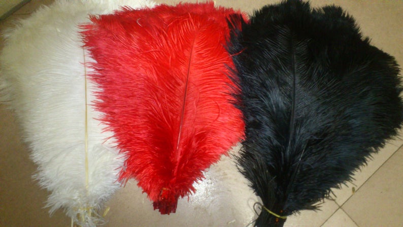 18-20inc ostrich feathers,150feathers (50black,50fushia ,50white) - Click Image to Close