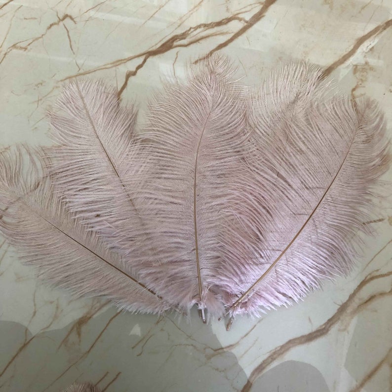 800pcs dusty pink 10-12inch feathers