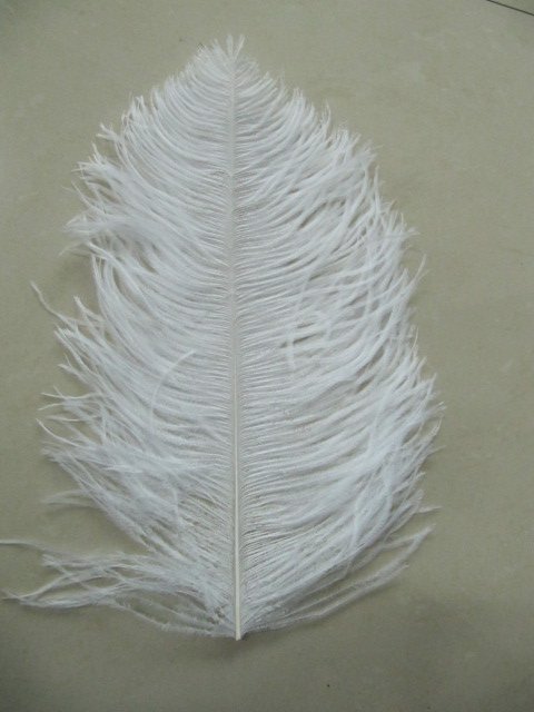 22-24inches ostrich feather