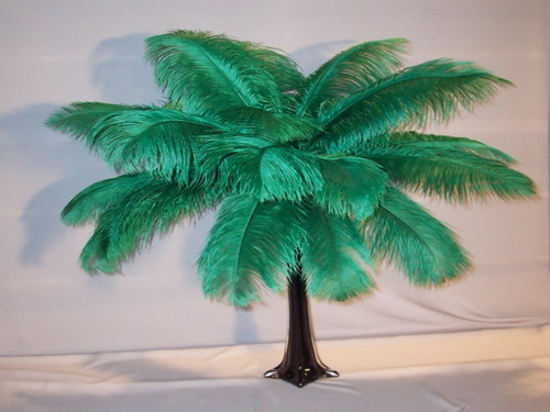 ostrich drab feathers