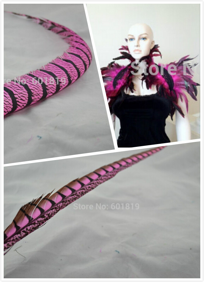 Pink color 11 piece of 36-40inch lady amherst pheasant straight type 95 30-35inch Pheasant feather zebra type and 21 capes - Click Image to Close