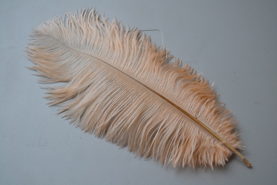 customized order-200 pieces 12-14" Peach color ostrich feather