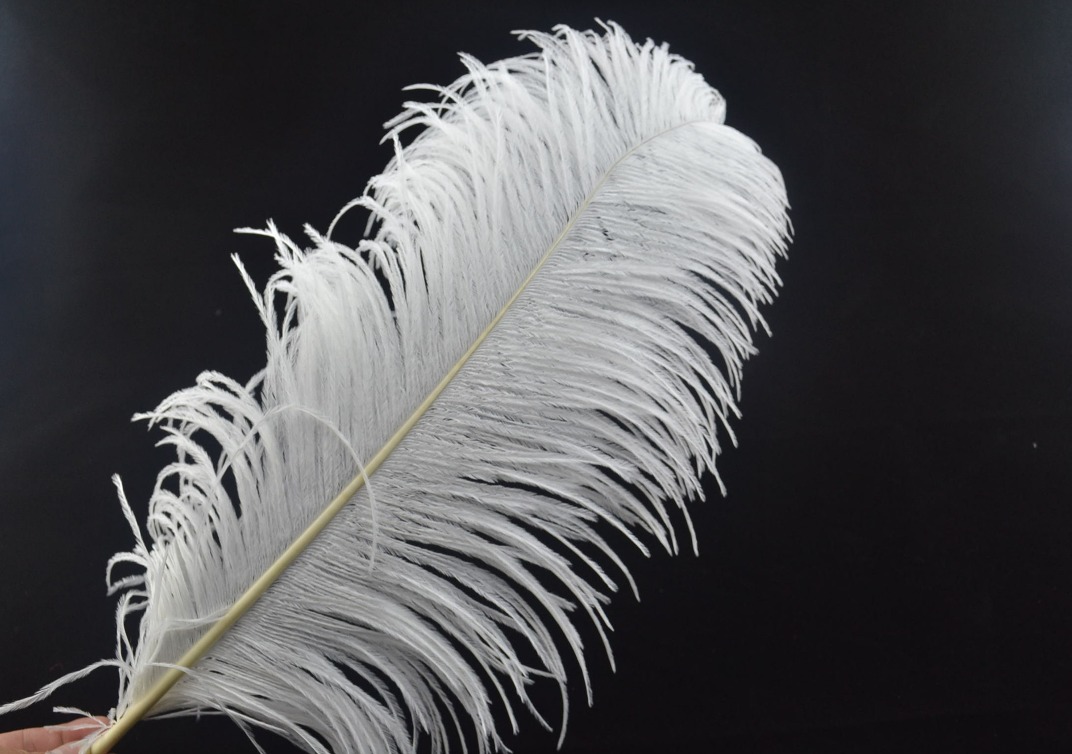 30pcs 18-20inch ostrich feathers - Click Image to Close