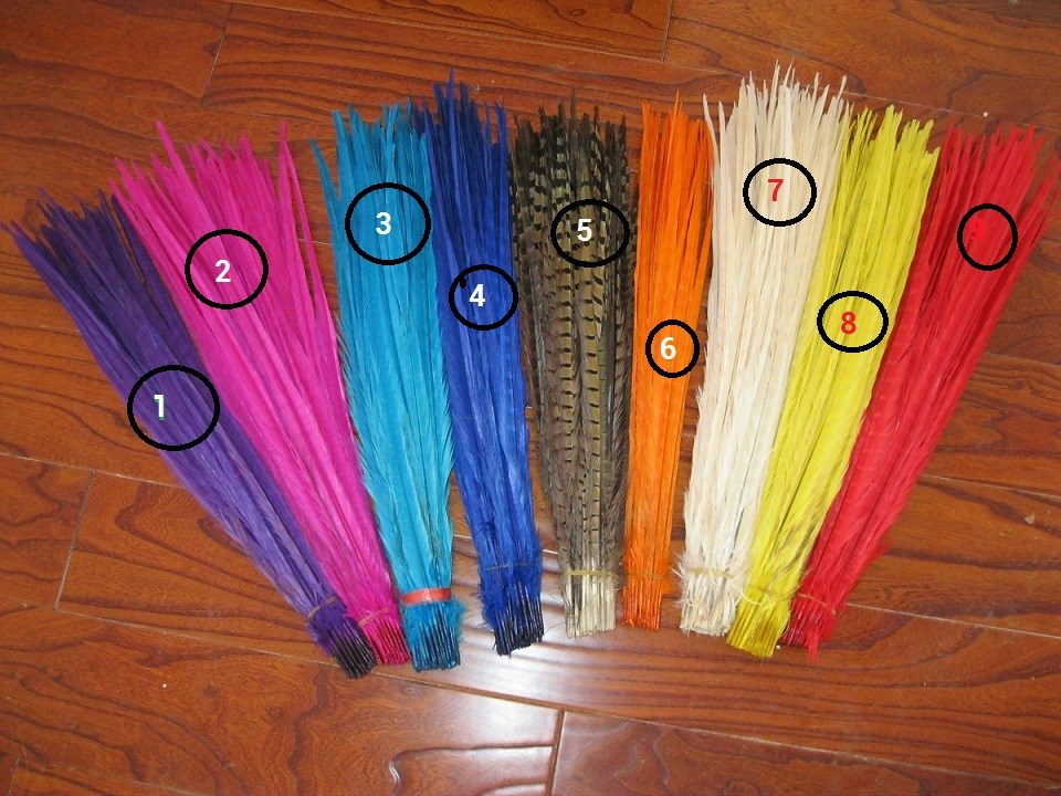 200 50-55cm 20-22 inches feathers pheasant(100 purple,100 hot pink) 200 50-55cm 20-22 inches feathers pheasant(100 purple,100 hot pink)