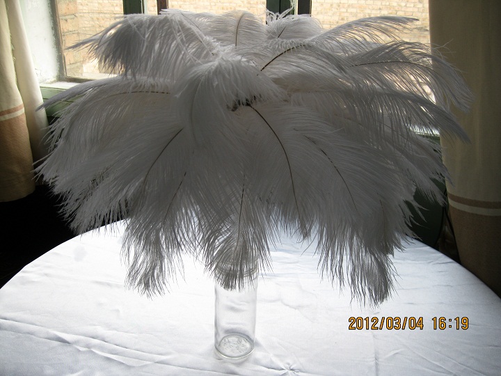 50 pieces12-14inch white ostrich feather(white feather) and 50 peacock feathers