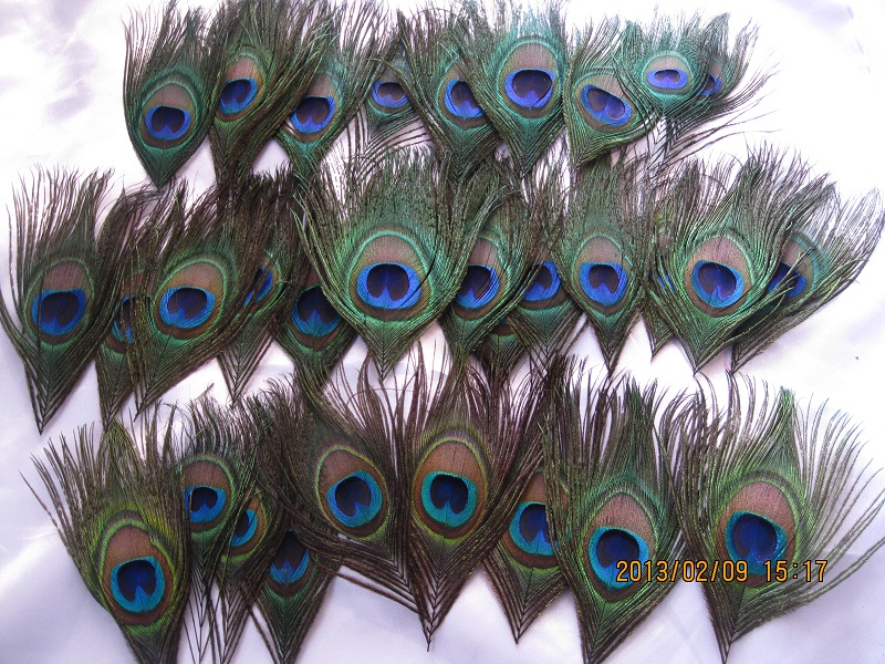 100pcs/lot Peacock eye feathers for Wedding feather boutonnieres invitation Party Event Decoration DIY scrapbook or hairpiece