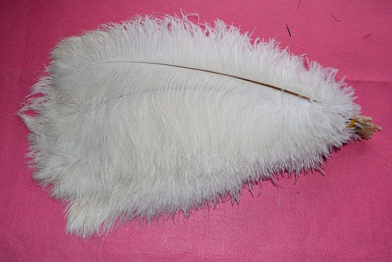 20 white and 20 black 16-18 inch feathers AND 20 white and 20 black of the 12-14 inch feathers - Click Image to Close