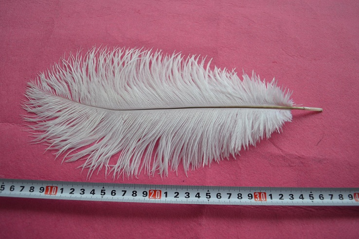 350pcs 12-14inch ostrich feathers,wedding table centerpiece,wedding table decoration,ostrich centerpiece - Click Image to Close