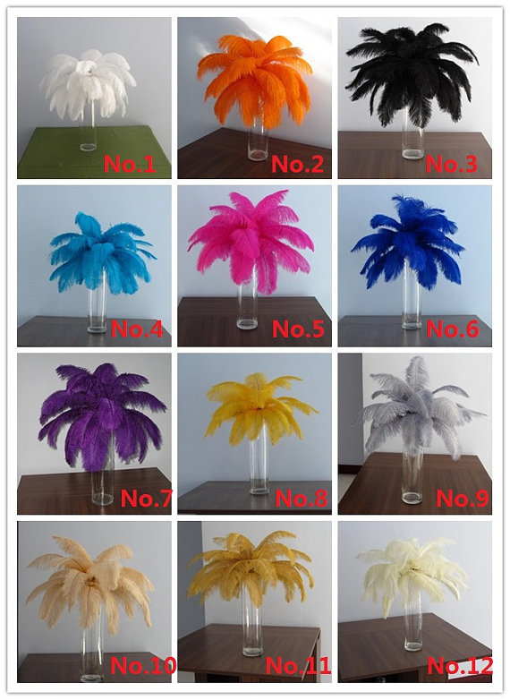 150 pieces 14-16inch ostrich feathers AND 150 pieces 16-18inch ostrich feathers(6colors as you requested ,25pieces per color) 150 pieces 14-16inch ostrich feathers AND 150 pieces 16-18inch ostrich feathers(6colors as you requested ,25pieces per color)