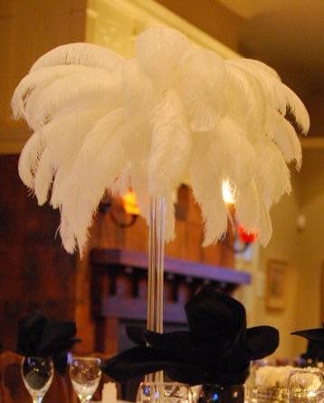 80 pieces 16-18inch ostrich feathers(beige color)