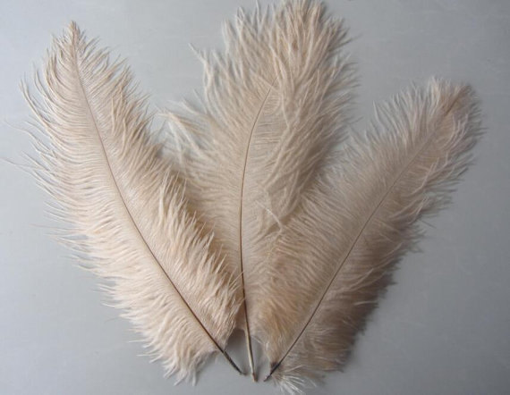 30 x champagne coloured 14-16 inch ostrich feathers - Click Image to Close