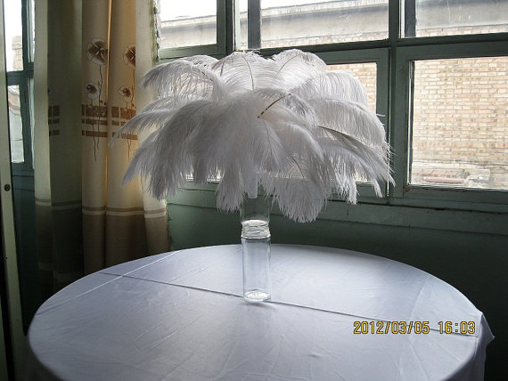 RUSH SHIPPING 600pieces 12-14inch white ostrich feathers