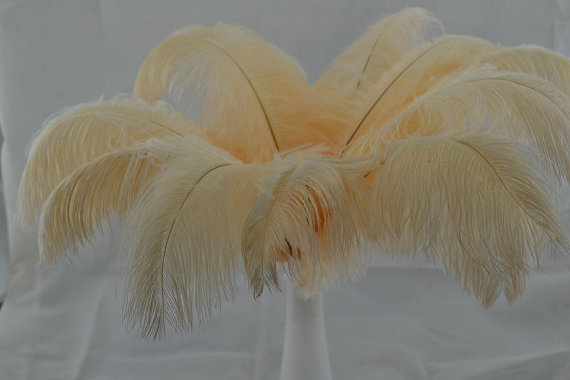 250 beige ostrich feathers(12-14inch) - Click Image to Close