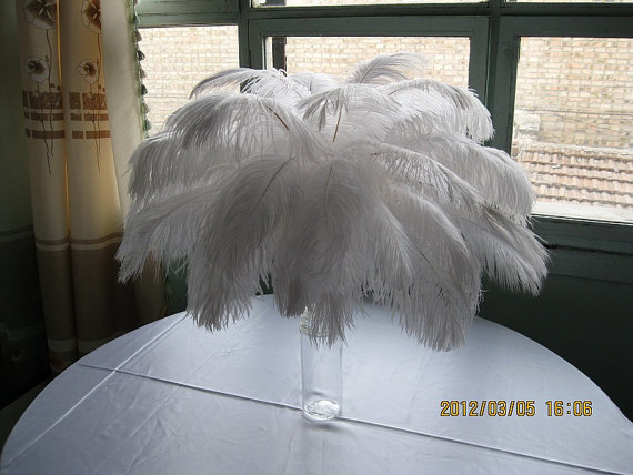 150 white ostrich feathers， 12-14 inches - Click Image to Close