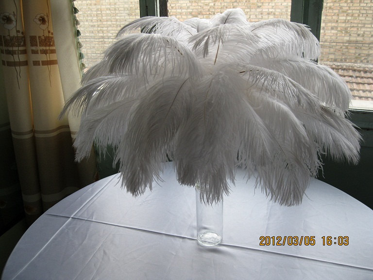 400pcs/lot 12-14" Wedding White ostrich feather - Click Image to Close