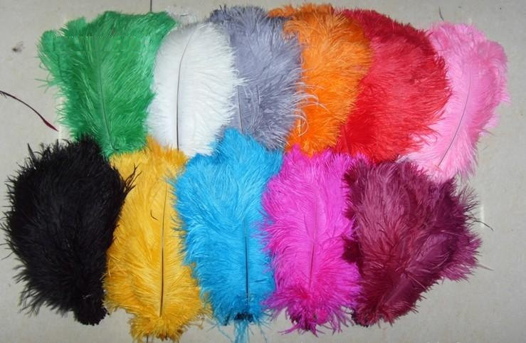 FREE SHIPPINHGDISCOUNT 200pcs/lot 12-14 inches ostrich feather in hot pink and black color - Click Image to Close