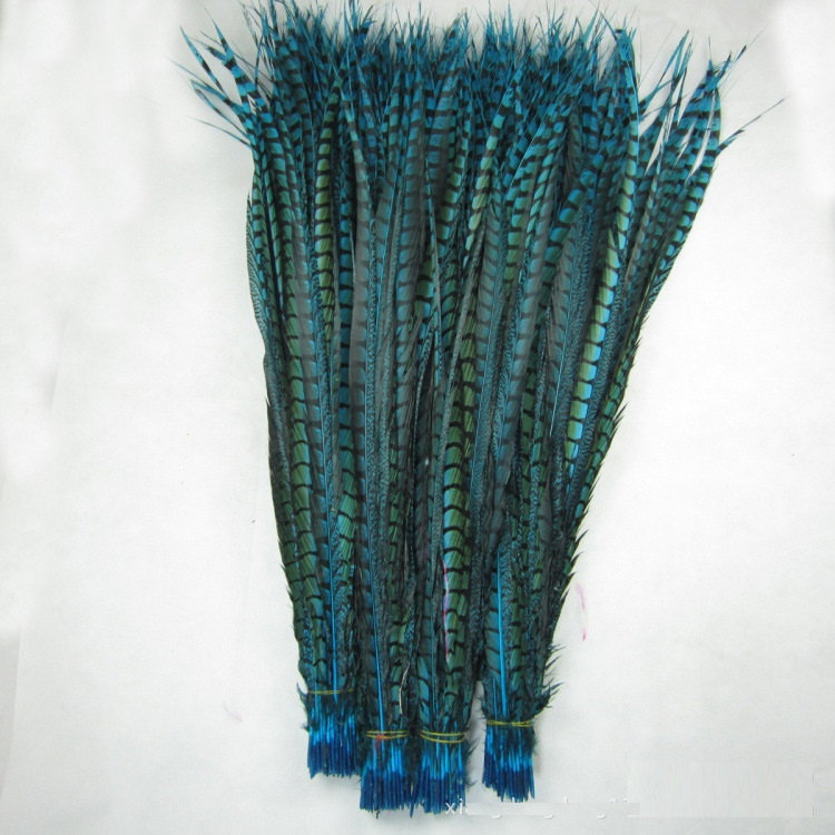 75pcs 30-35" Long Lady amherst side tail pheasant feather AAAquality for Showgirl Carnival Costume