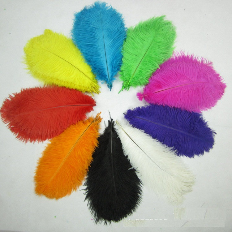 WHOLSALE discount 100pcs/lot 12-14inch ostrich feather Selected AA quality for DIY decorations Natural dyed feathers