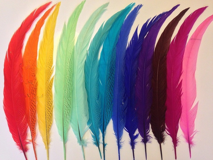 50pcs/lot28-32inch Super Long Silver Pheasant Tail Feather for Showgirl Carnival Costume AAA Quality - Click Image to Close