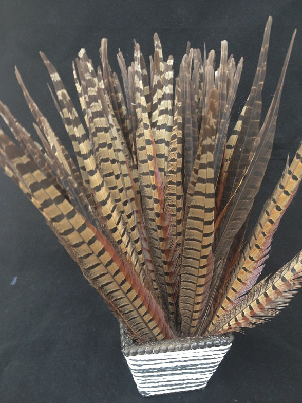 free shipping natural Ringneck Pheasant Tail feathers 16-18" 100pcs/lot Carnival showgirl customes headdress headband