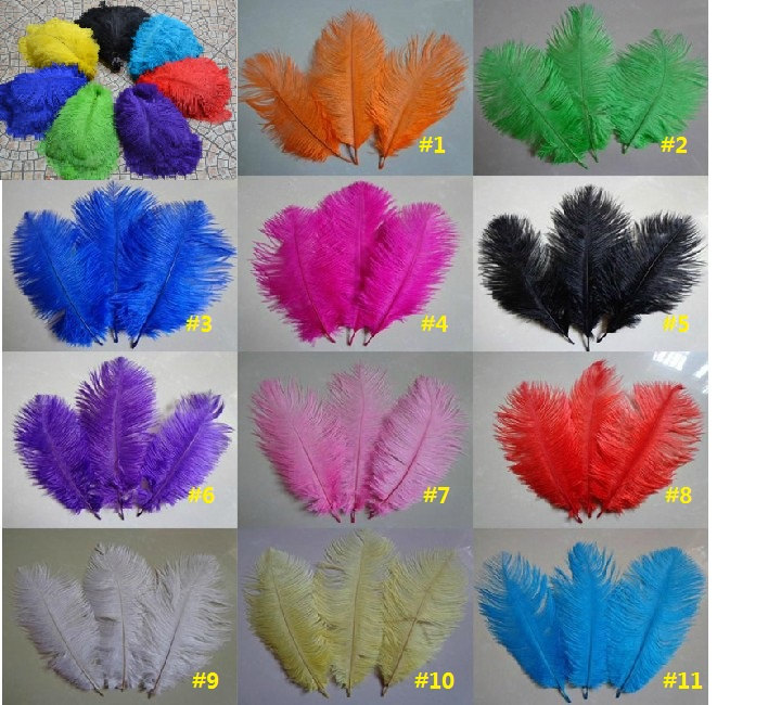 600 pcs 10-12" ostrich feathers