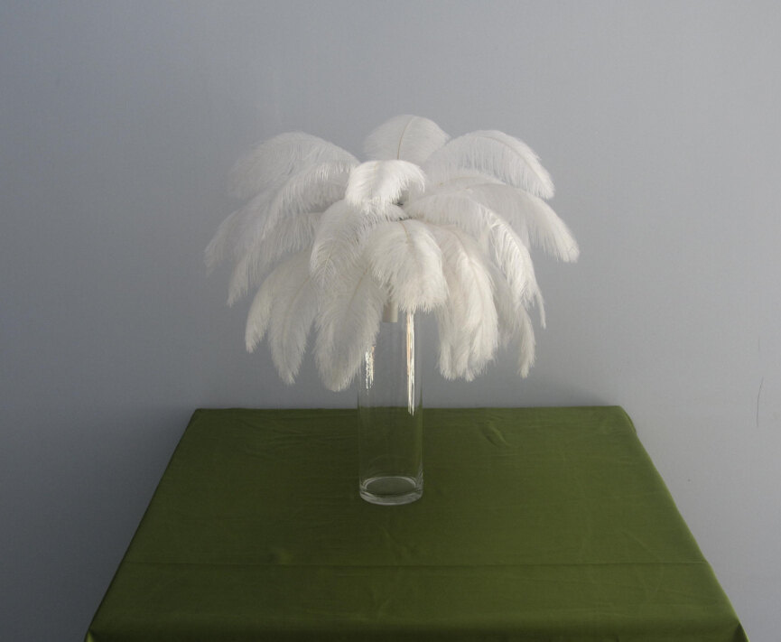 665pieces 12-14inch white ostrich feathers - Click Image to Close