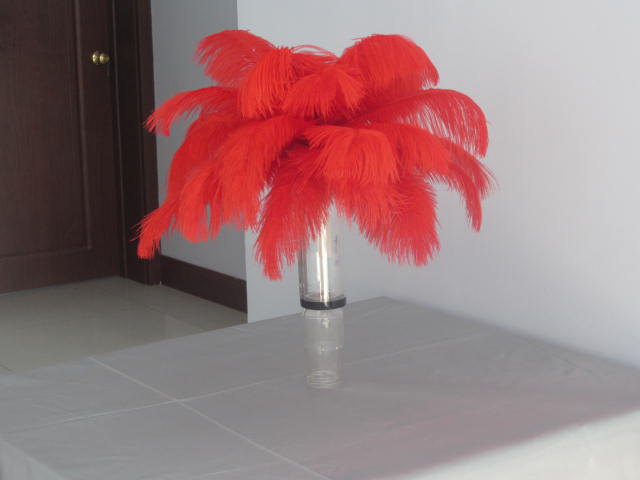 220 red 14-16 inch ostrich feathers